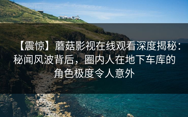 【震惊】蘑菇影视在线观看深度揭秘：秘闻风波背后，圈内人在地下车库的角色极度令人意外
