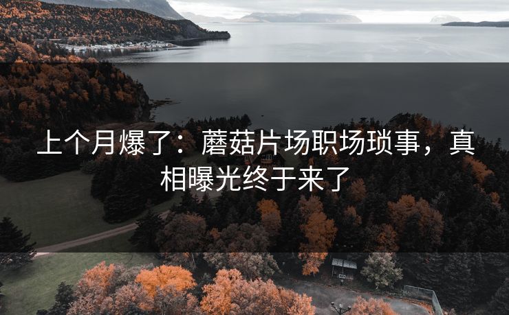上个月爆了：蘑菇片场职场琐事，真相曝光终于来了